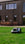 Robotic lawn mower on a grassy lawn in front of a modern wooden-cladded house.